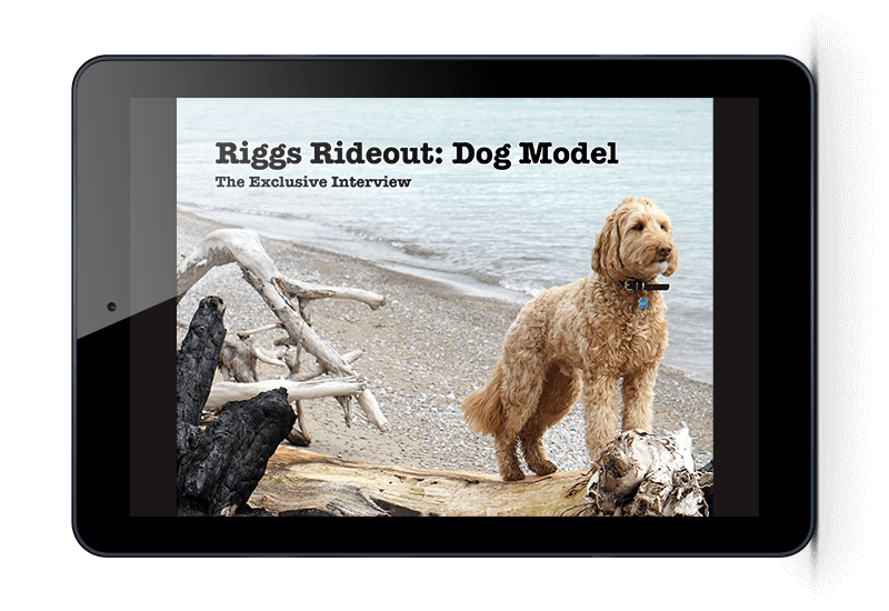 Riggs Rideout: Dog Model